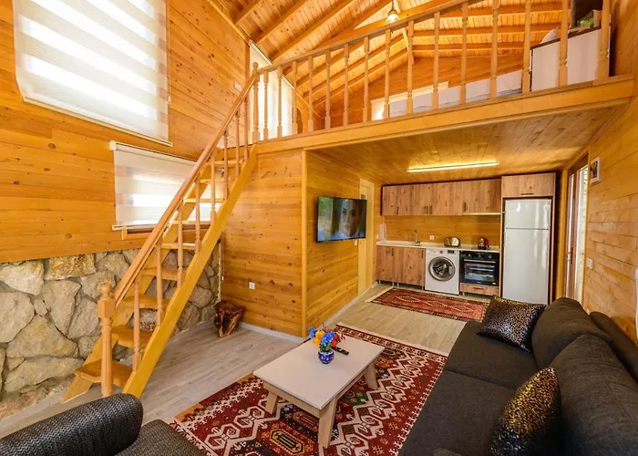 Anatolian フェティエ