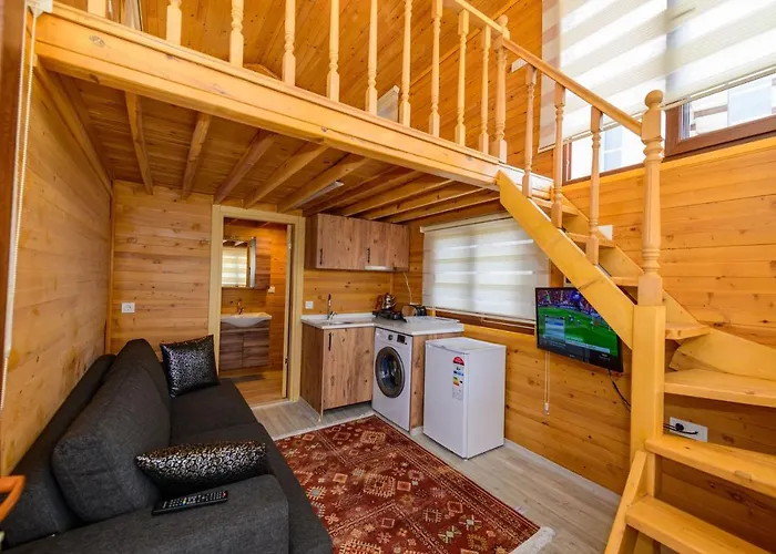 Anatolian アパートホテル フェティエ